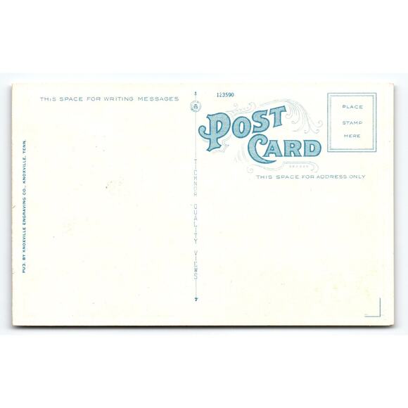 Vintage Linen Postcard Beaver Lake Albany Alabama Scenic View - Picture 2 of 2